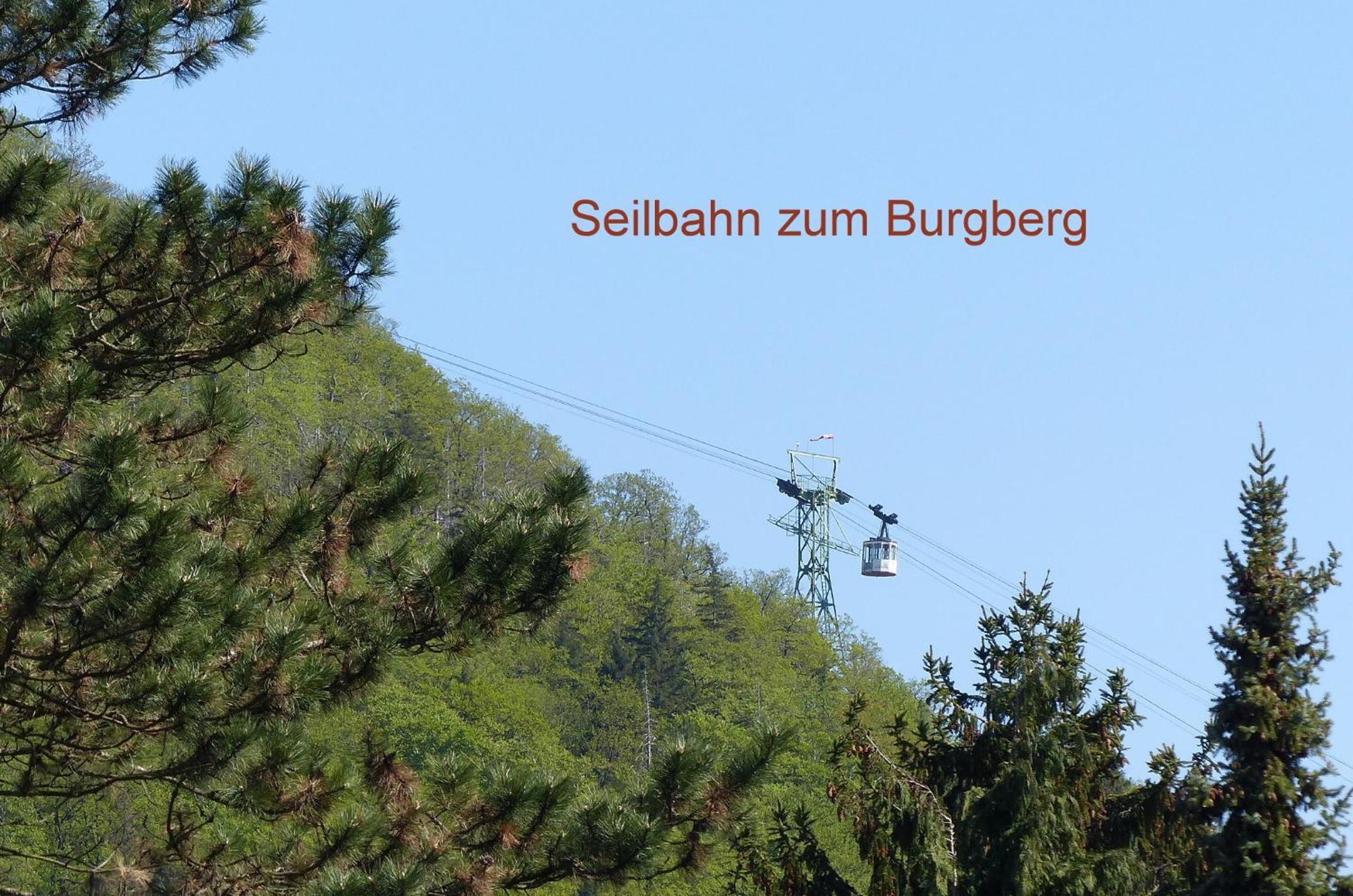 Fewo Parkblick Mit 2 Baedern Bad Harzburg Exterior photo